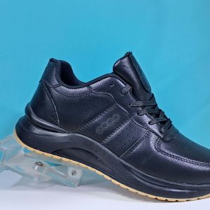 میانه مدل اکو