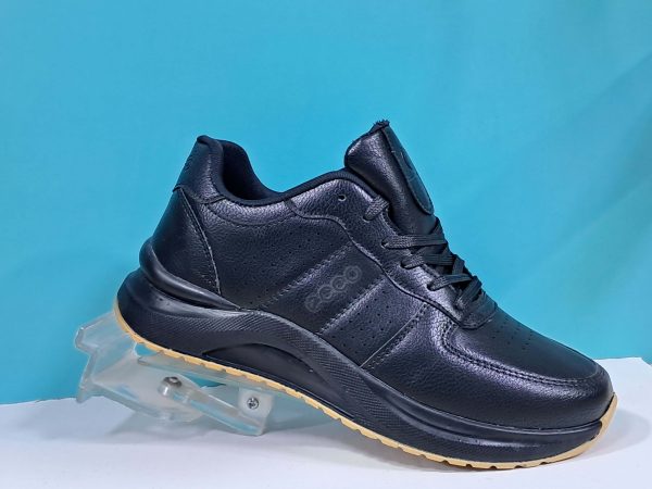 میانه مدل اکو