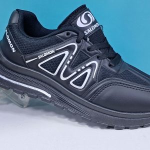 میانه مدل سالامون